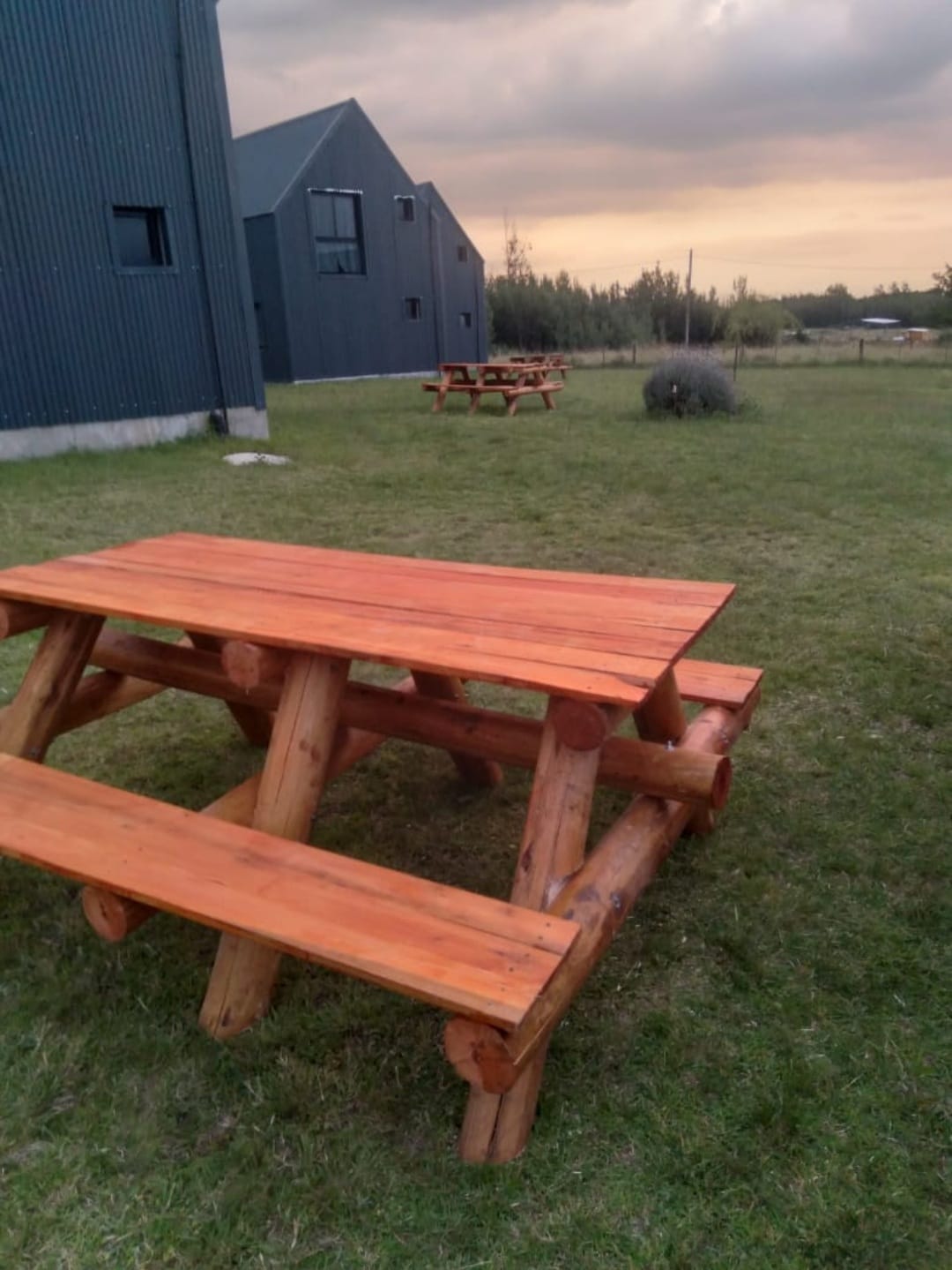 Mesas de madera en el parque de Cabañas Leon al atardecer