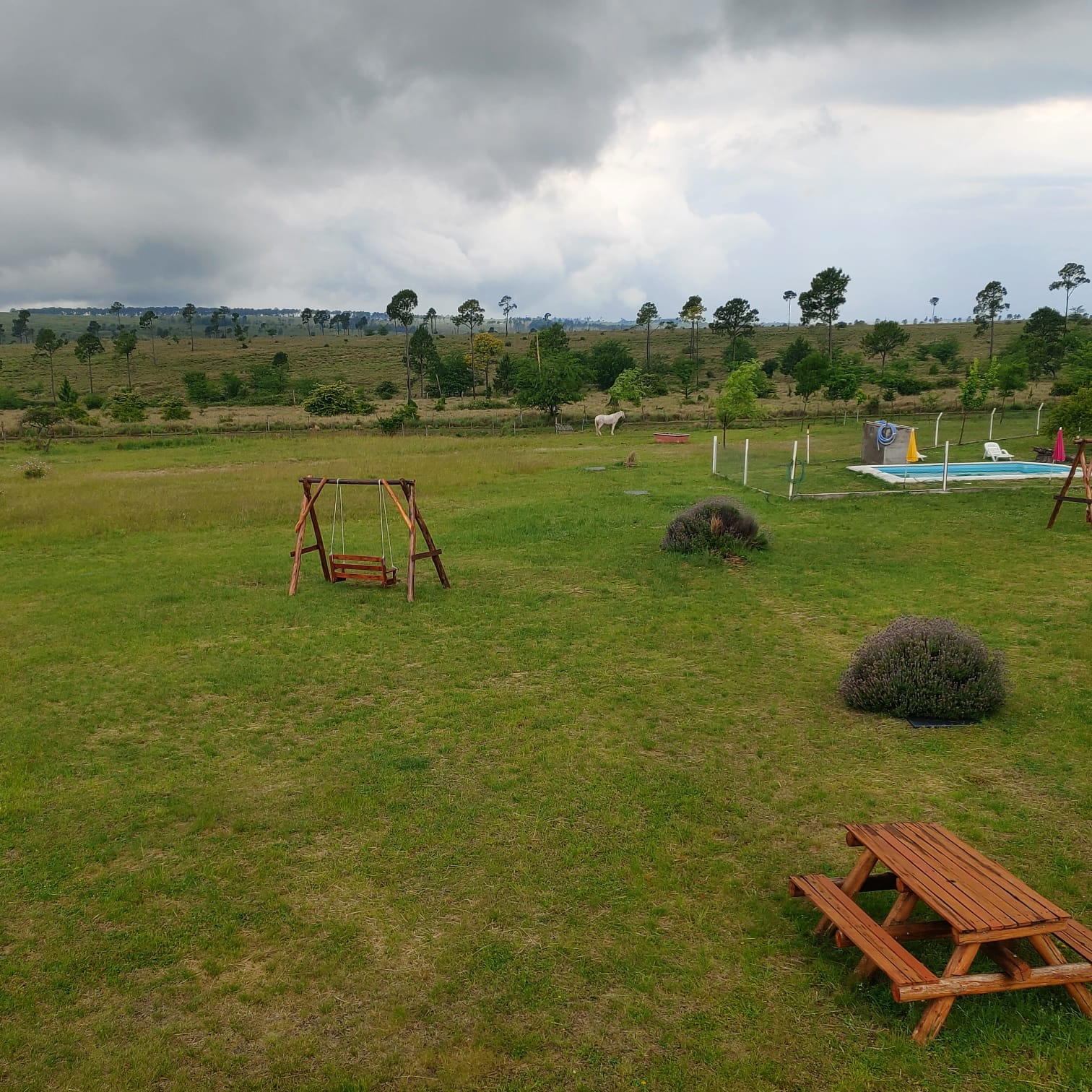 Parque de Cabañas Leon con hamaca, caballo y pileta de fondo
