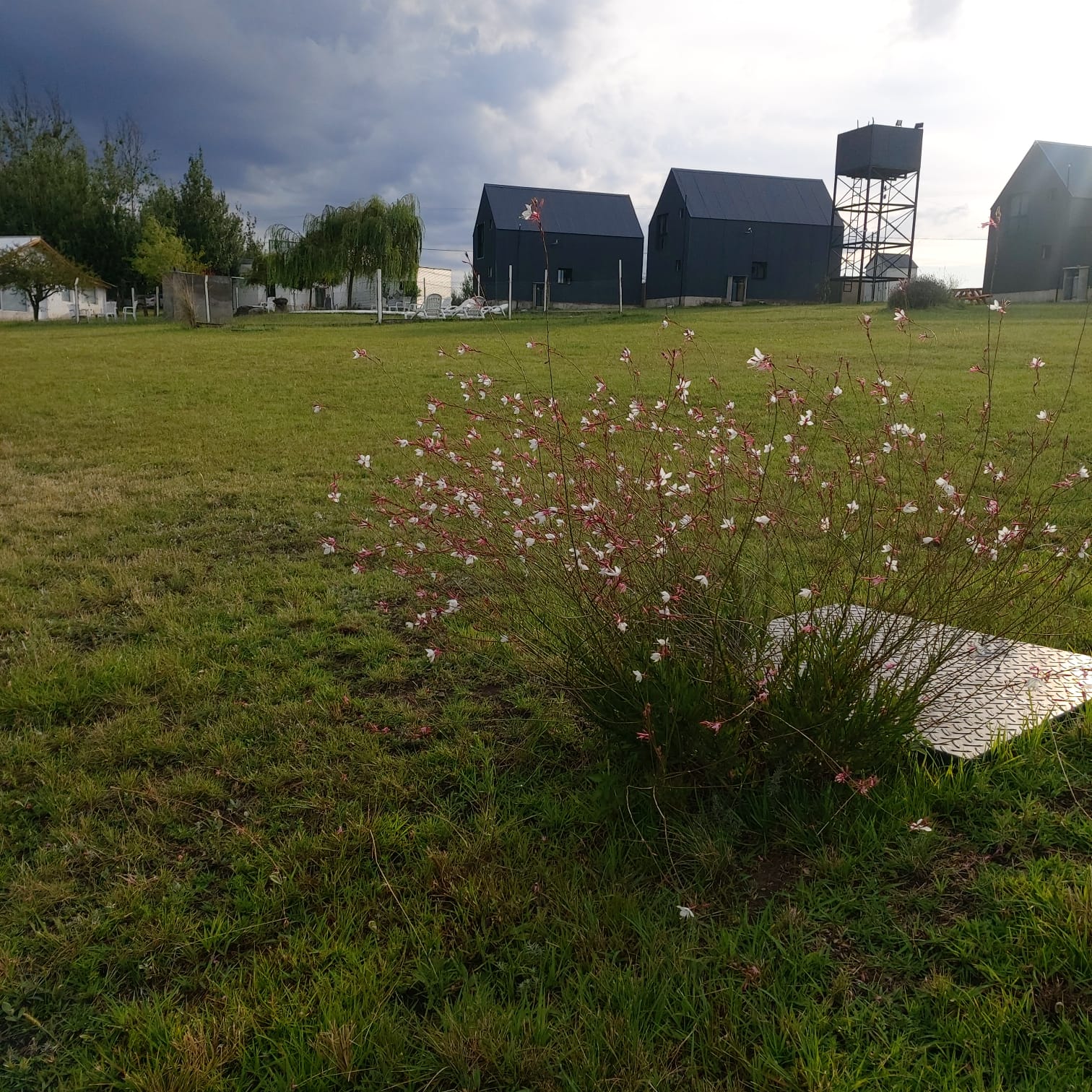 Flores del parque con las cabañas y el tanque de agua de fondo