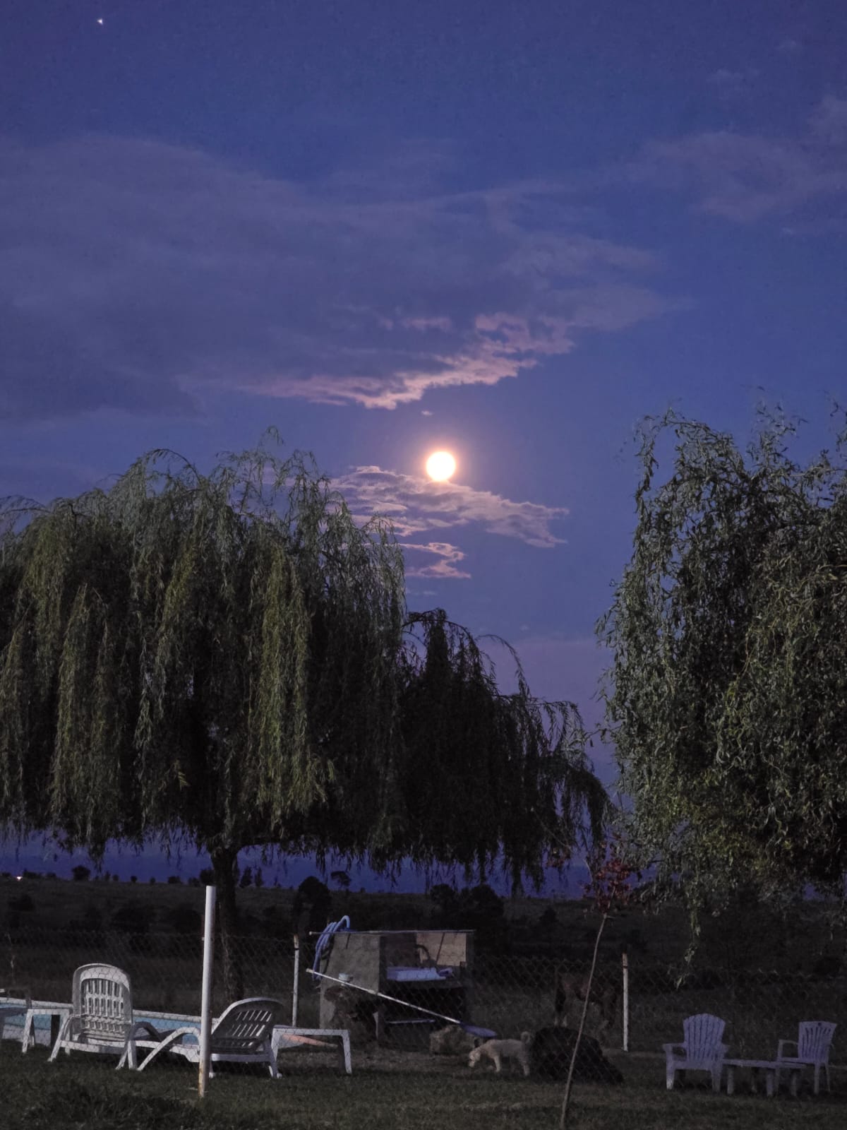 Sector de pileta de Cabañas Leon de noche con luna llena